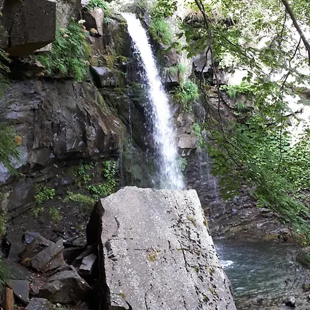 La Tana Dei Tassi * Видичатико