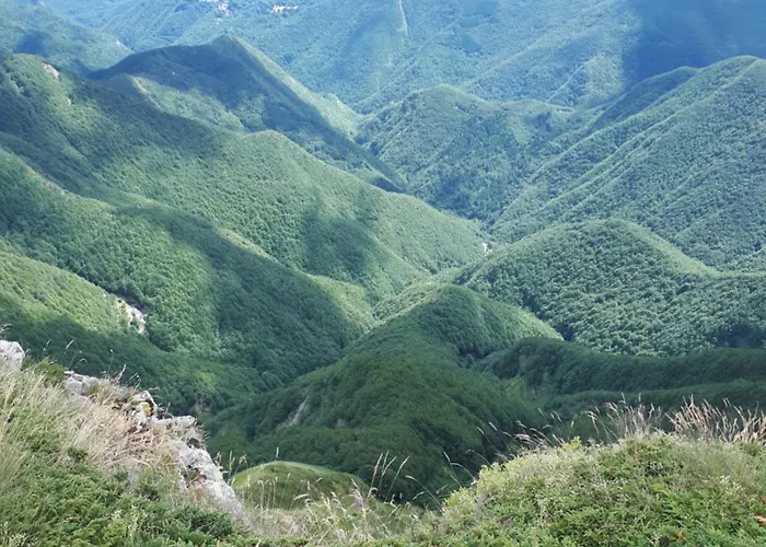 La Tana Dei Tassi Apartment