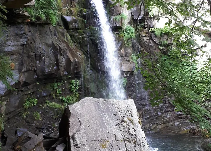 La Tana Dei Tassi * Vidiciatico