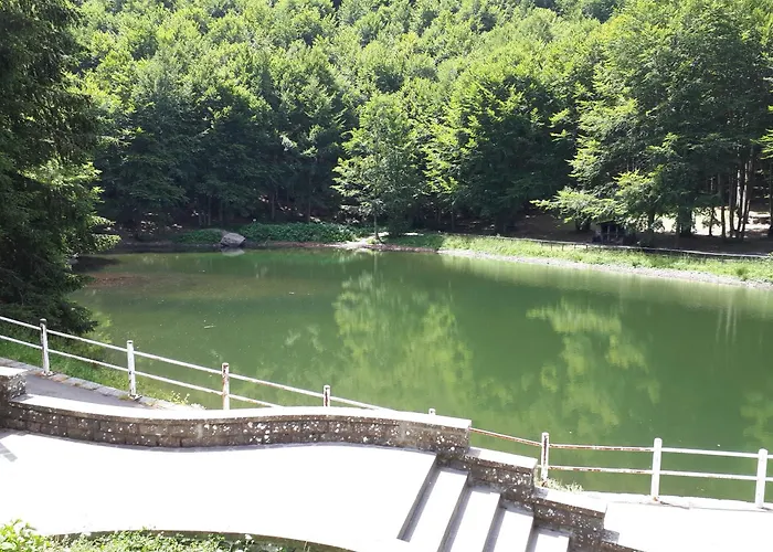 La Tana Dei Tassi Appartamento Vidiciatico